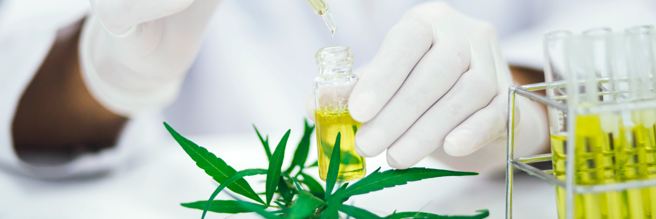 Staged lab testing of cannabis 